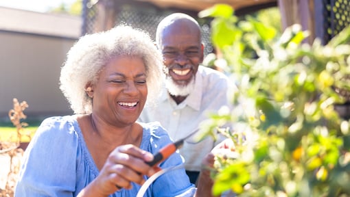 Older adult couple in their garden laughing together