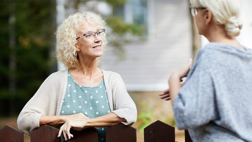 Two neighbors enjoying a social interaction in their backyards