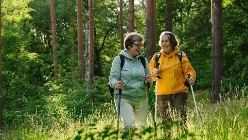 Two senior aged women Nordic pole walking in the forest, showing that movement is key to a healthy daily routine.