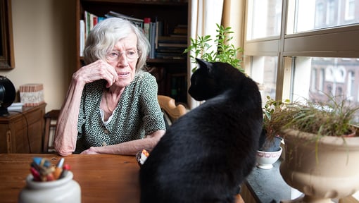 An older adult sitting at a table indoors with a cat by the window.
