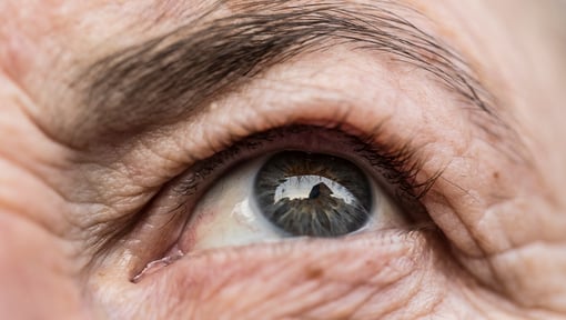 Close-up of a human eye