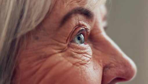 detailed side profile of an eye, emphasizing the eyelids and eye area commonly affected by dry eye symptoms.