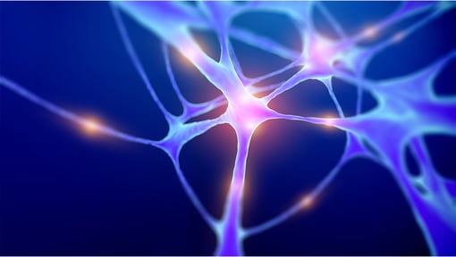 image showing connections being made in the brain