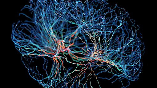 Abstract visualization of a human brain made of glowing blue and orange neural pathways on a black background