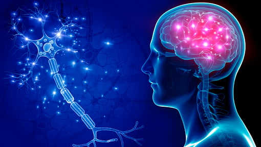 Illustrated profile view of a human head with a transparent skull, showing a brightly glowing brain, alongside a magnified neuron with branching connections on a blue background.