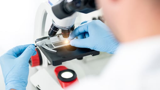 Laboratory technician wearing gloves placing a microscope slide under a microscope for scientific analysis.