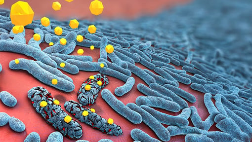 sualization of the gut microbiome showing beneficial bacteria and microbial activity within the digestive system.