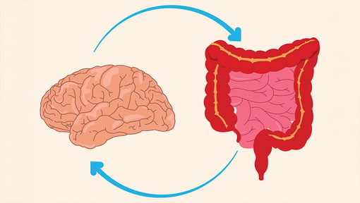 Illustration of the brain and digestive system connected by arrows, representing communication between the gut and brain.
