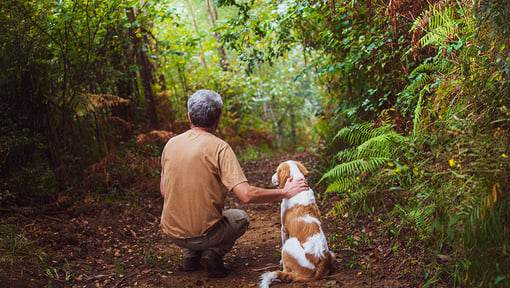 Person and dog resting along a forest path, illustrating the benefits of spending time in outdoor green spaces for mental well-being and healthy aging.