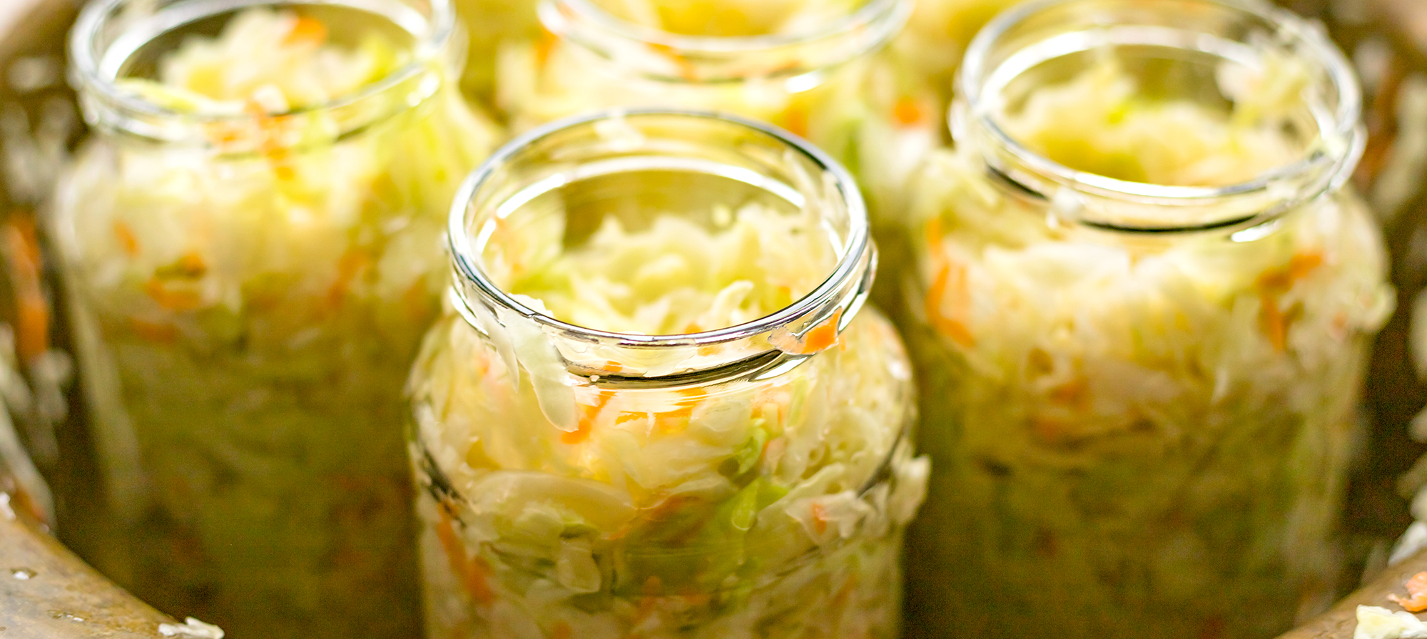 Gut Check: How Fermented Foods Can Help Your Gut Health