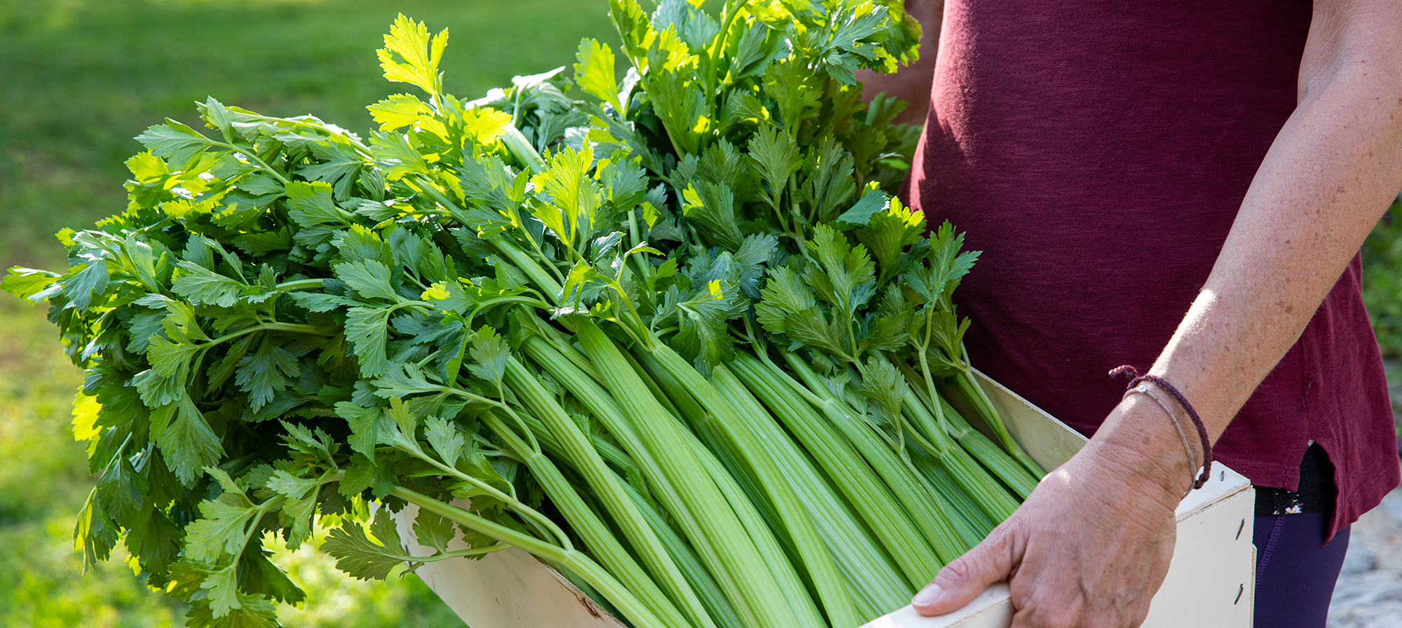 Take Your Celery from Bland to Delicious With These 7 Culinary Hacks